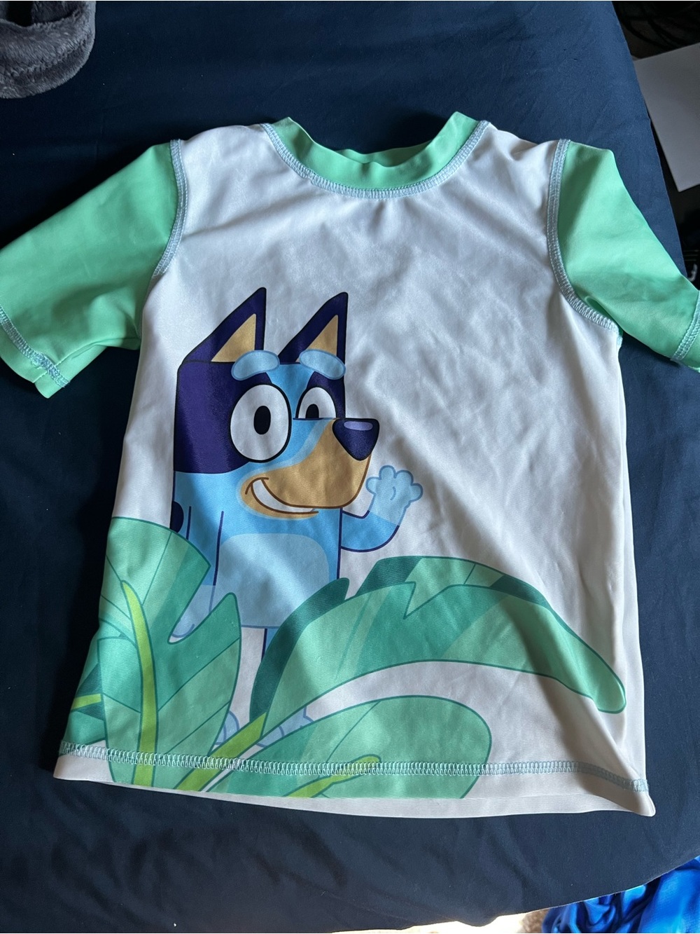 Bluey Boys' Short Sleeve swim guard Graphic - Mint & White